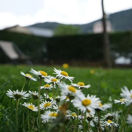 Con Jardin En La Cerdanya